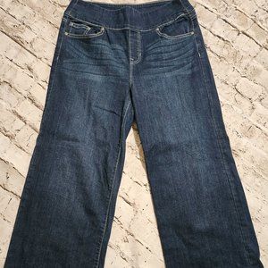 Womens Style & Co Wide Crop Jeans